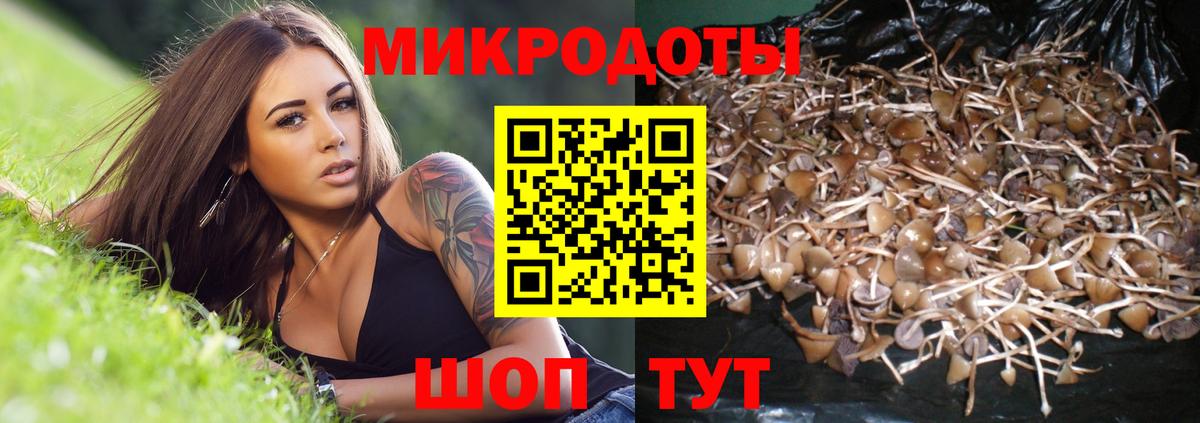 Псилоцибиновые грибы ЛСД Бахчисарай